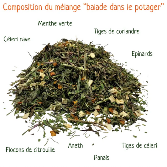 Friandises naturelles pour lapins