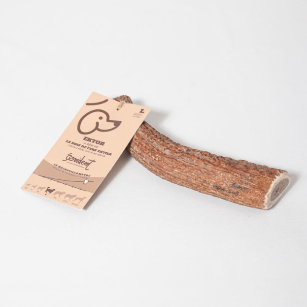 Bois de cerf, mastication pour chiens