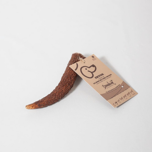 Bois de cerf, mastication pour chiens