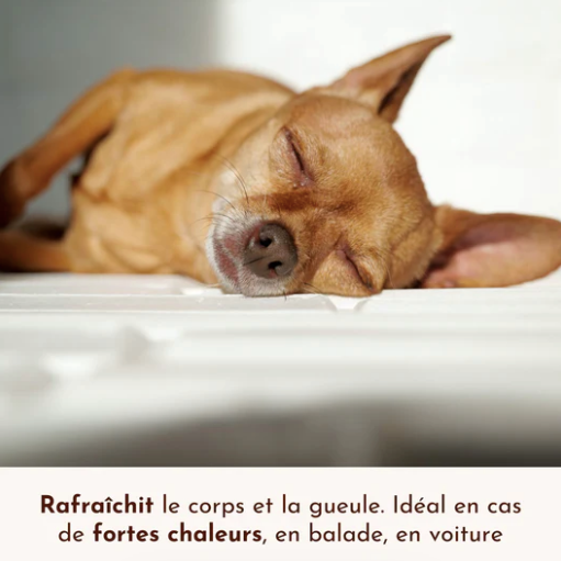 Idéal en cas de fortes chaleurs