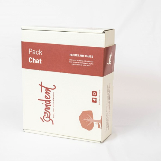 Pack chat - Chat