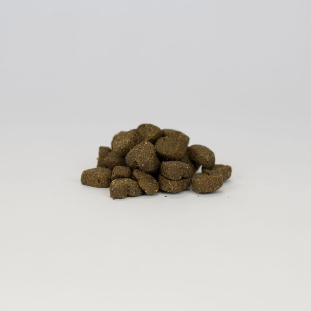 Frianfises bucco dentaire pour chiens de toutes tailles