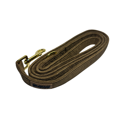 Laisse pour ballade chiens couleur chocolat