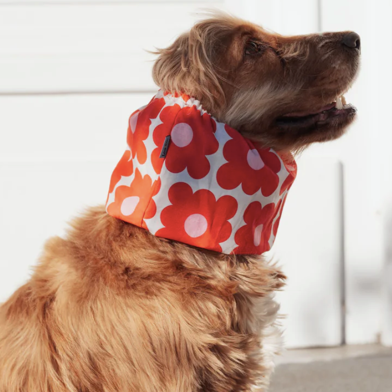 Tour de cou chien fleurs rétro confortable et tendance