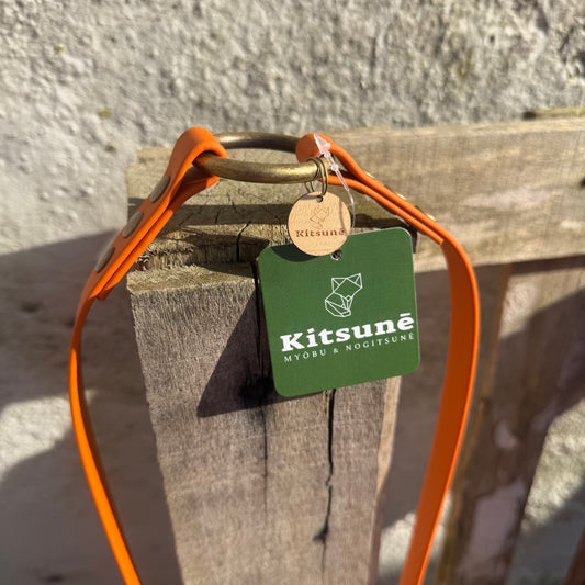 afin de balader deux poilus à la fois