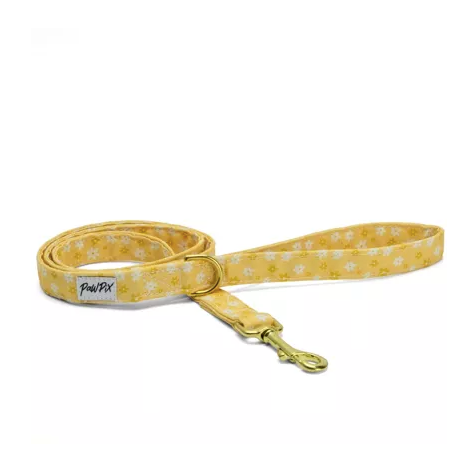 Pour des balades stylés avec votre Poilu