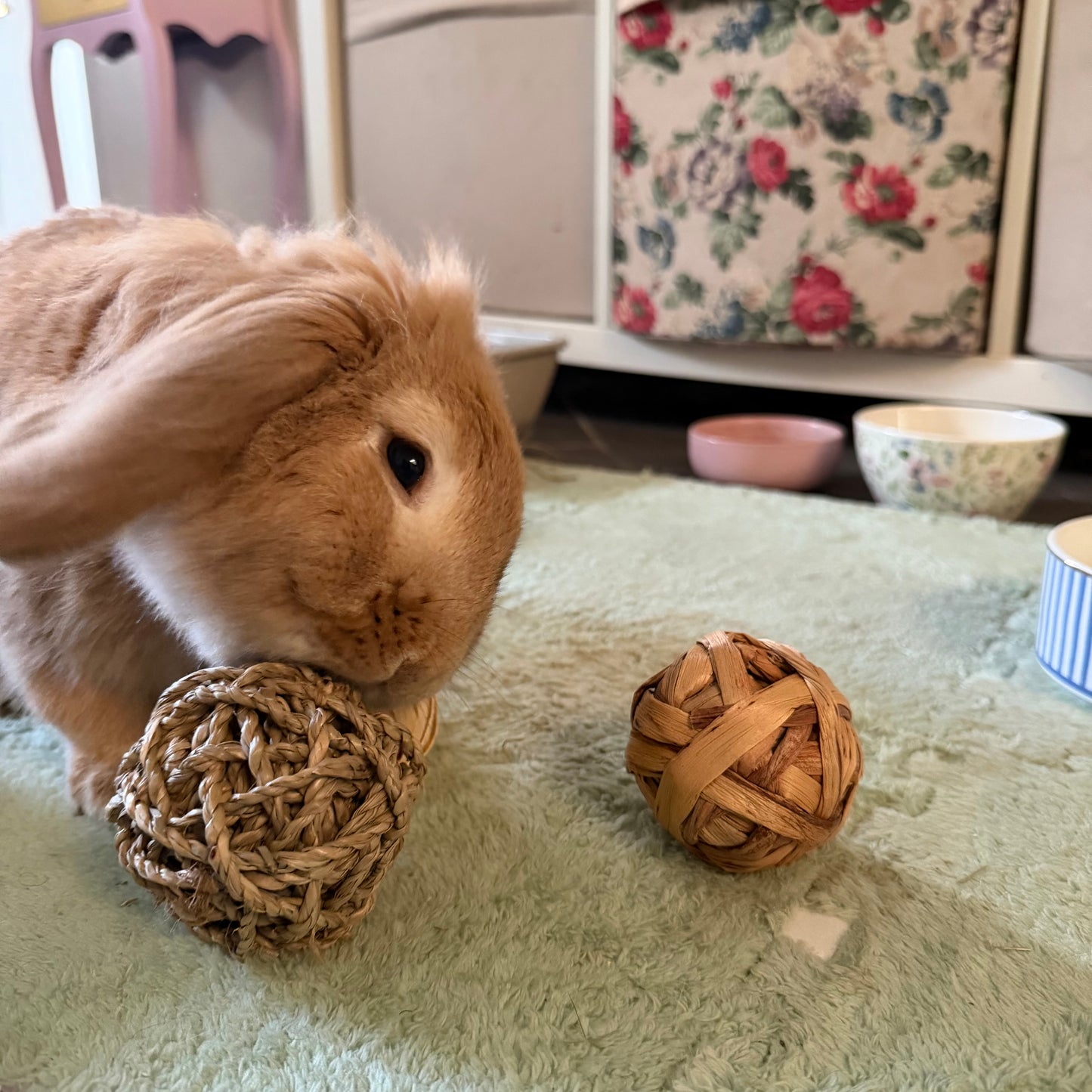 Jouet naturel et comestible pour lapins