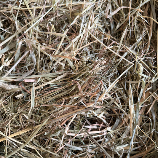 Foin d'Escarmin en circuit court  - Lapins