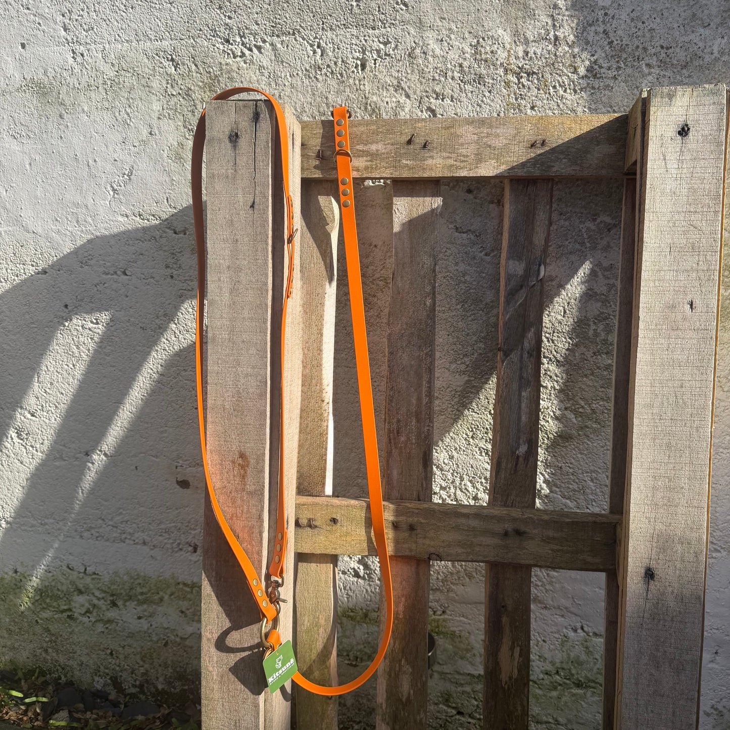 Laisse Multiposition Chien - Biothane Orange