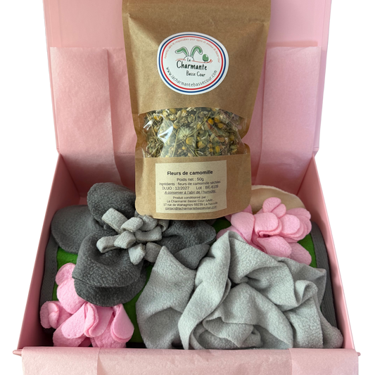 Box Activité du pompon - Lapins