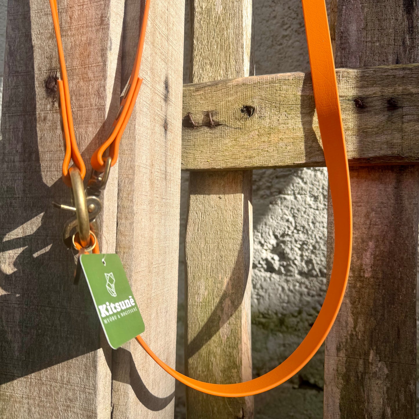 Laisse Multiposition Chien - Biothane Orange