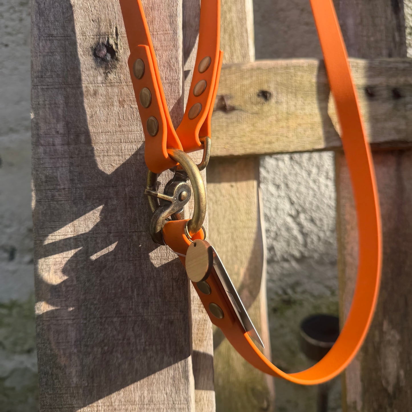Laisse Multiposition Chien - Biothane Orange
