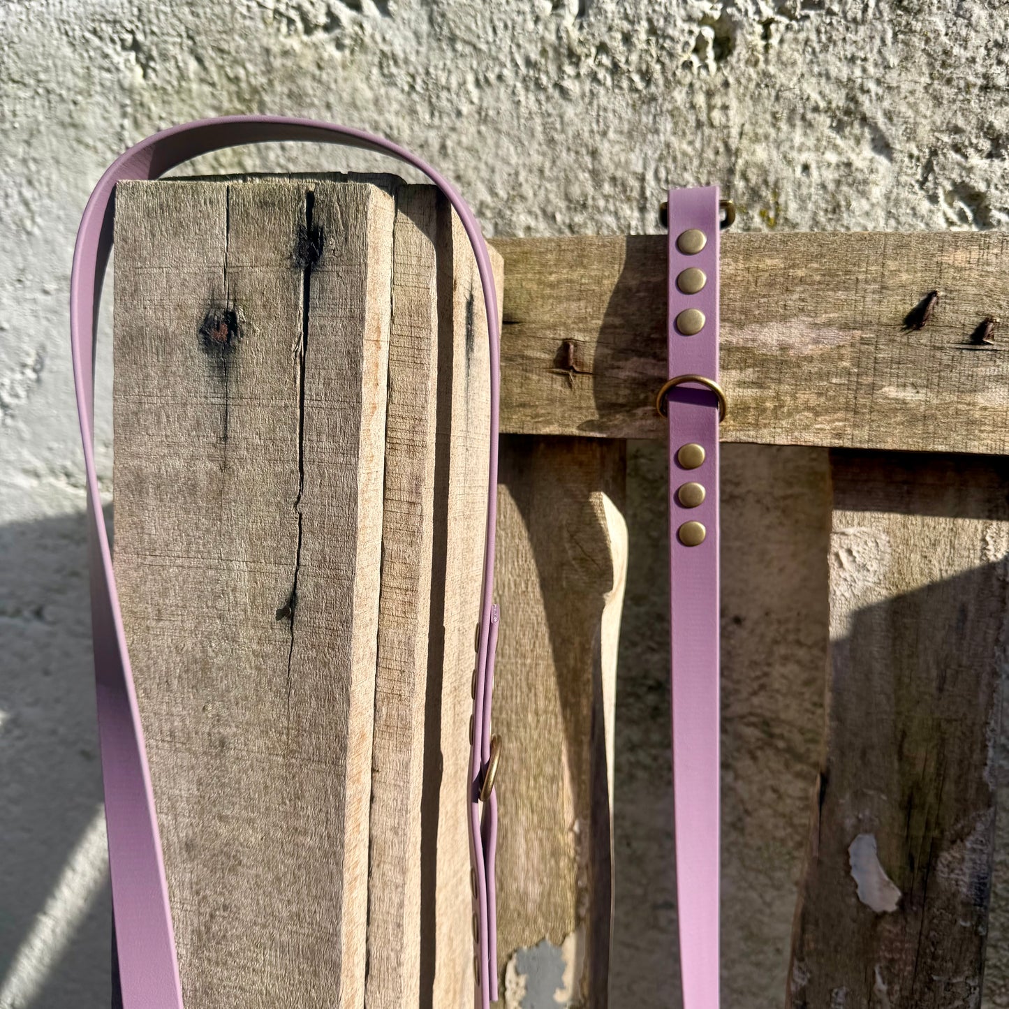 Laisse Multiposition Chien - Biothane Lilas