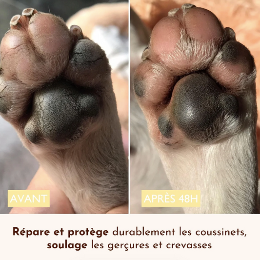 Pot baume soin coussinets pour chien protection et réparation
