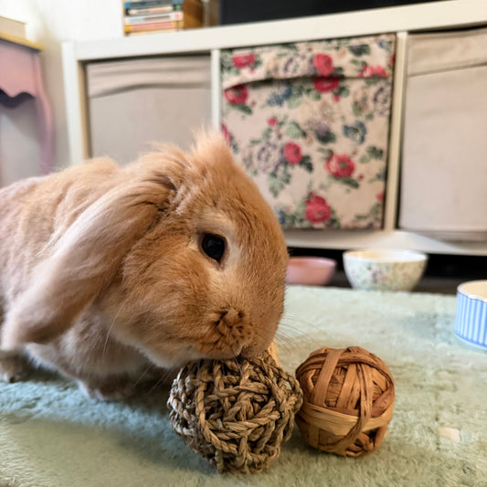 Jouet naturel et comestible pour lapins