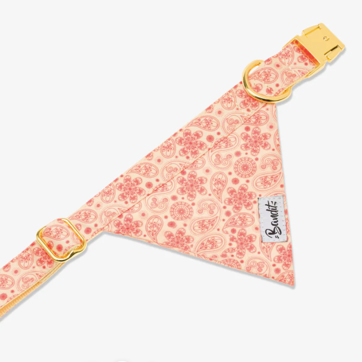 Bandana chien Golden Vibe mode et confort accessoire stylé
