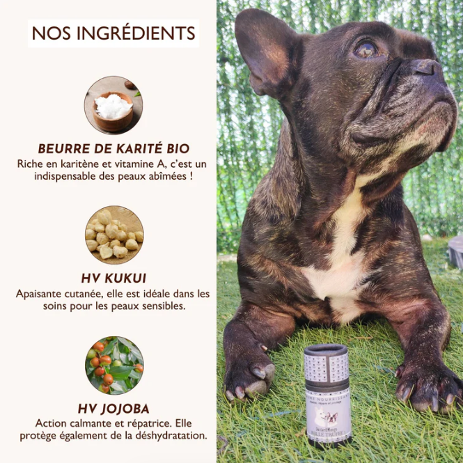 Baume réparateur truffe chien protection contre gerçures
