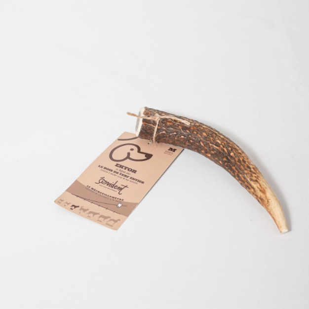 Bois de cerf, mastication pour chiens 