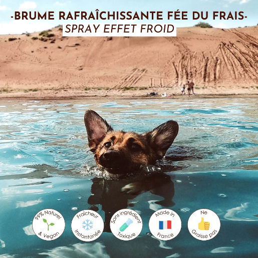 Brume rafraîchissante fée du frais 