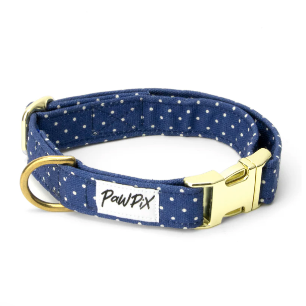 Collier Bleu à pois blancs - Chien
