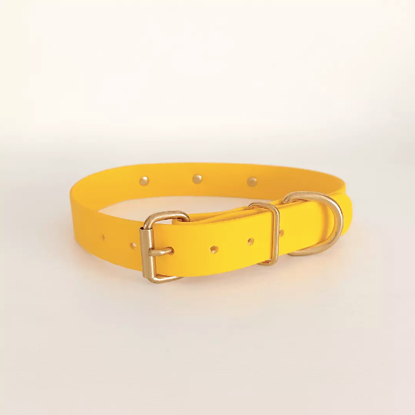 Collier Biothane signature Jaune - Chiens