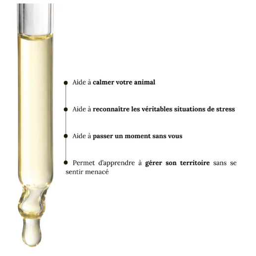 Fleurs de Bach Aboiements Excessifs Sans Alcool - 30 Ml