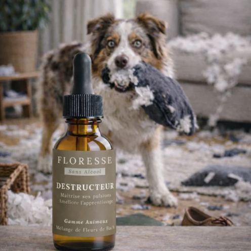 Fleurs de Bach Animaux Destructeurs Sans Alcool 30 ml