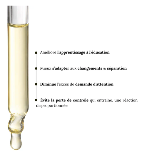 Fleurs de Bach Animaux Destructeurs Sans Alcool 30 ml