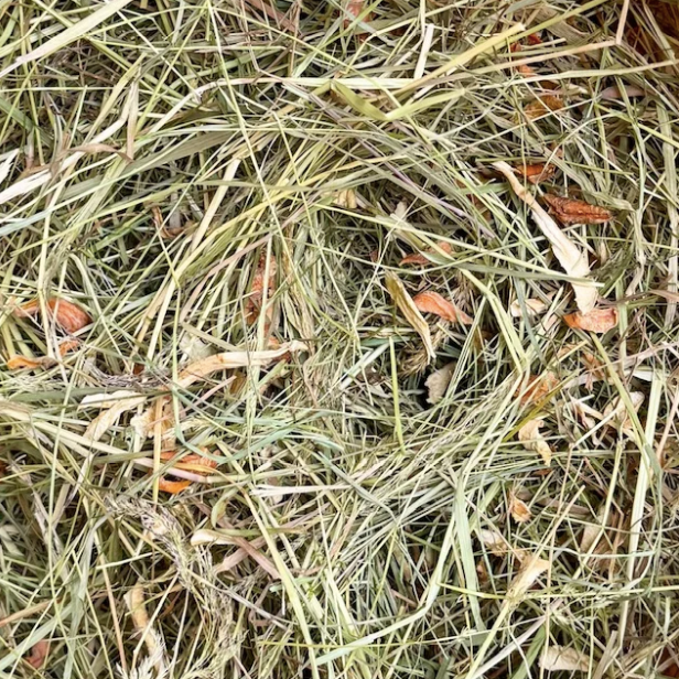 Foin Carotte et Panais en Circuit court 500g  - Lapins