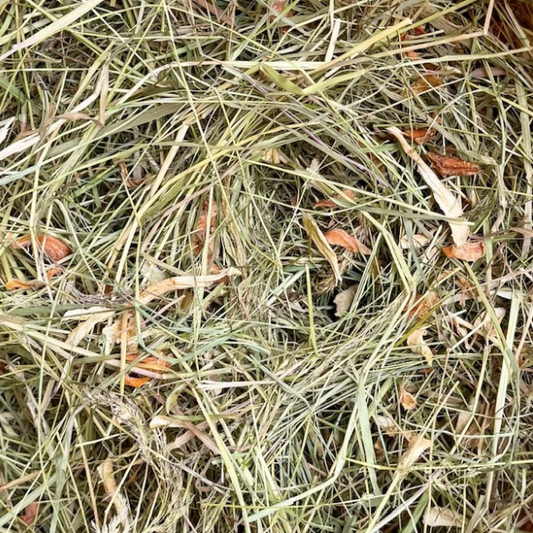 Foin Carotte et Panais en Circuit court 500g  - Lapins