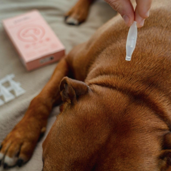 5 pipettes répulsives - Chien Chat Lapin