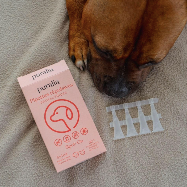 5 pipettes répulsives - Chien Chat Lapin