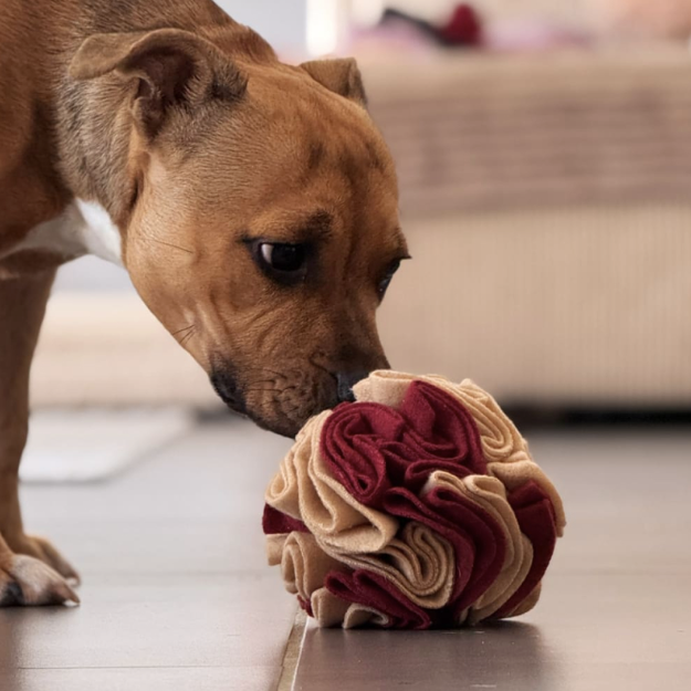 Balle de fouille à monter soi-même pour chiens