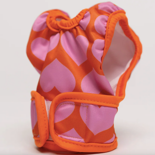 Culotte hygiénique pour chienne en chaleur réutilisable
