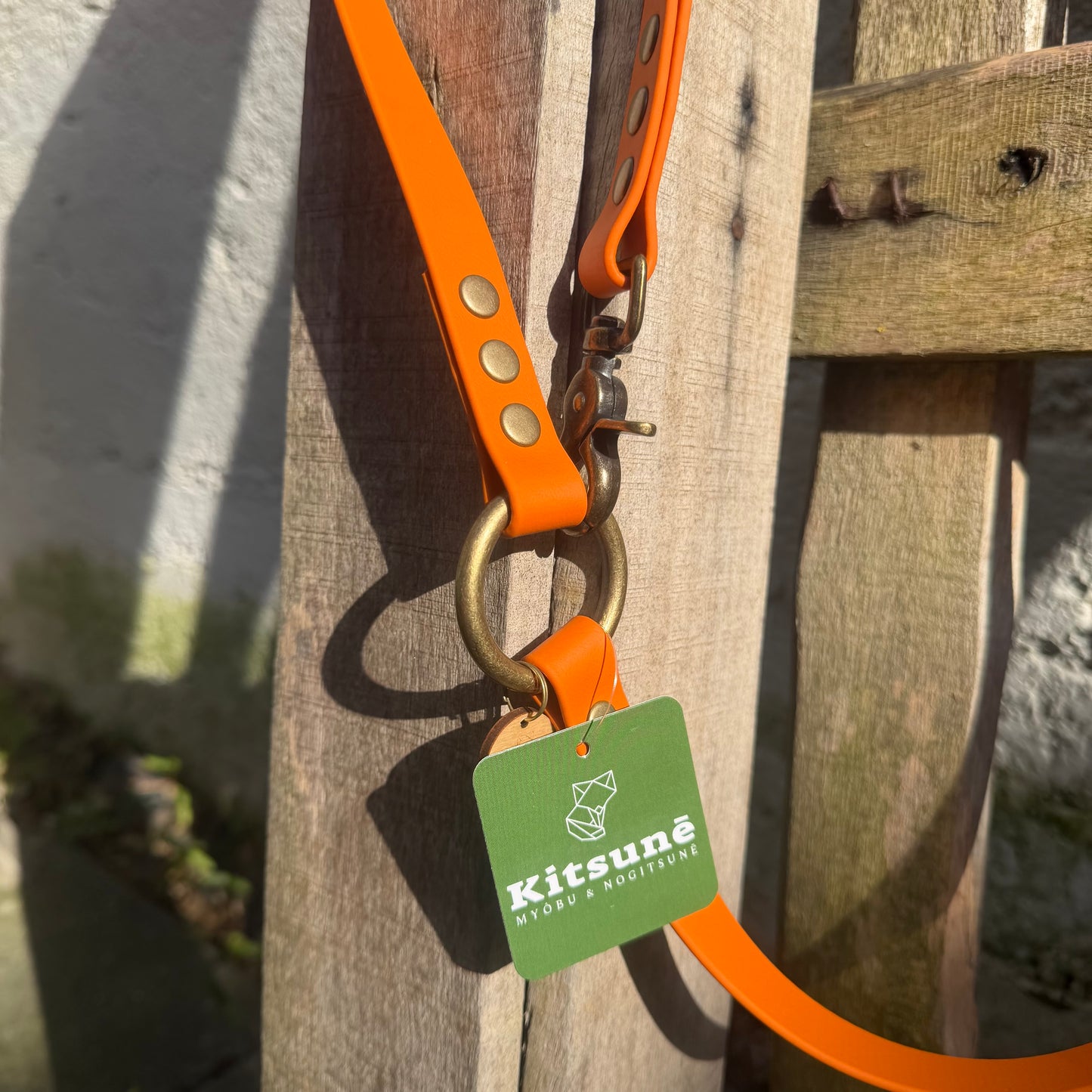 Laisse Multiposition Chien - Biothane Orange