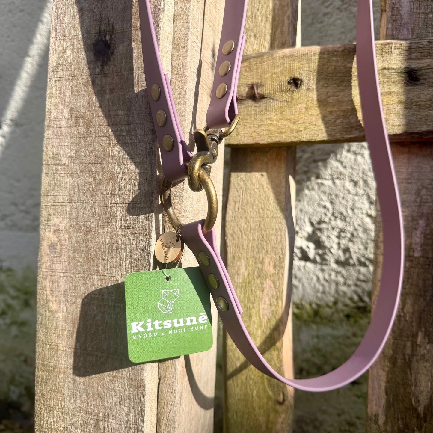 Laisse Multiposition Chien - Biothane Lilas