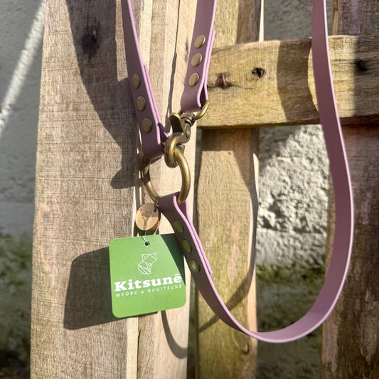 Laisse Multiposition Chien - Biothane Lilas