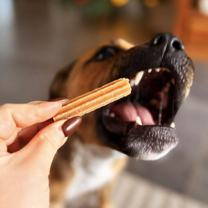 Baton au fromage dentition 