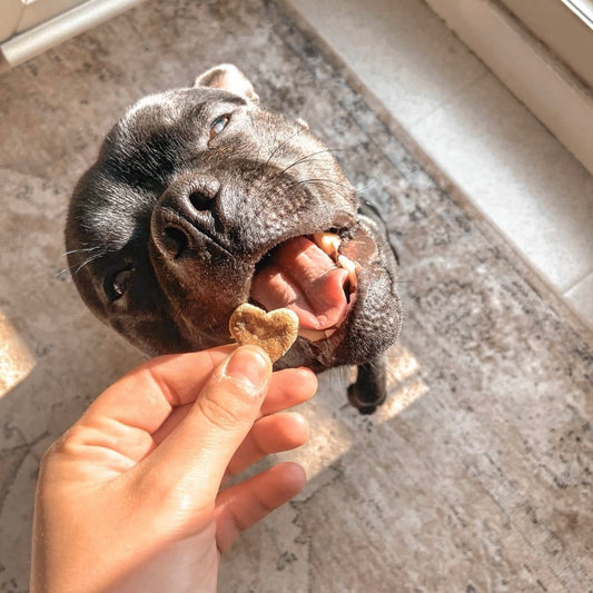Biscuits - Beurre de Cacahuète