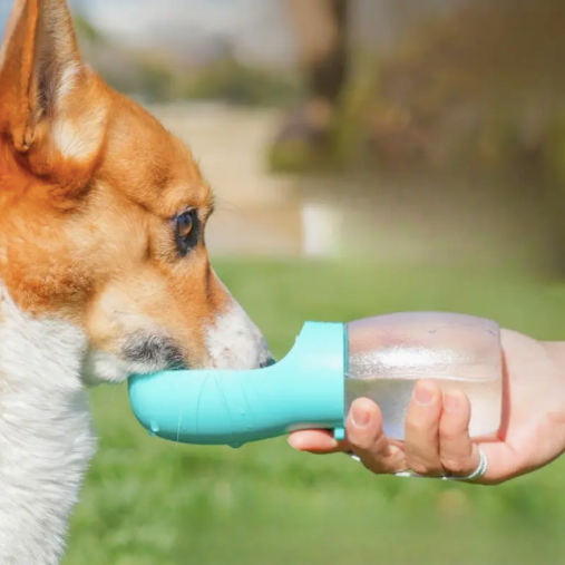 Bouteille d'eau portable pour chien avec gamelle intégrée
