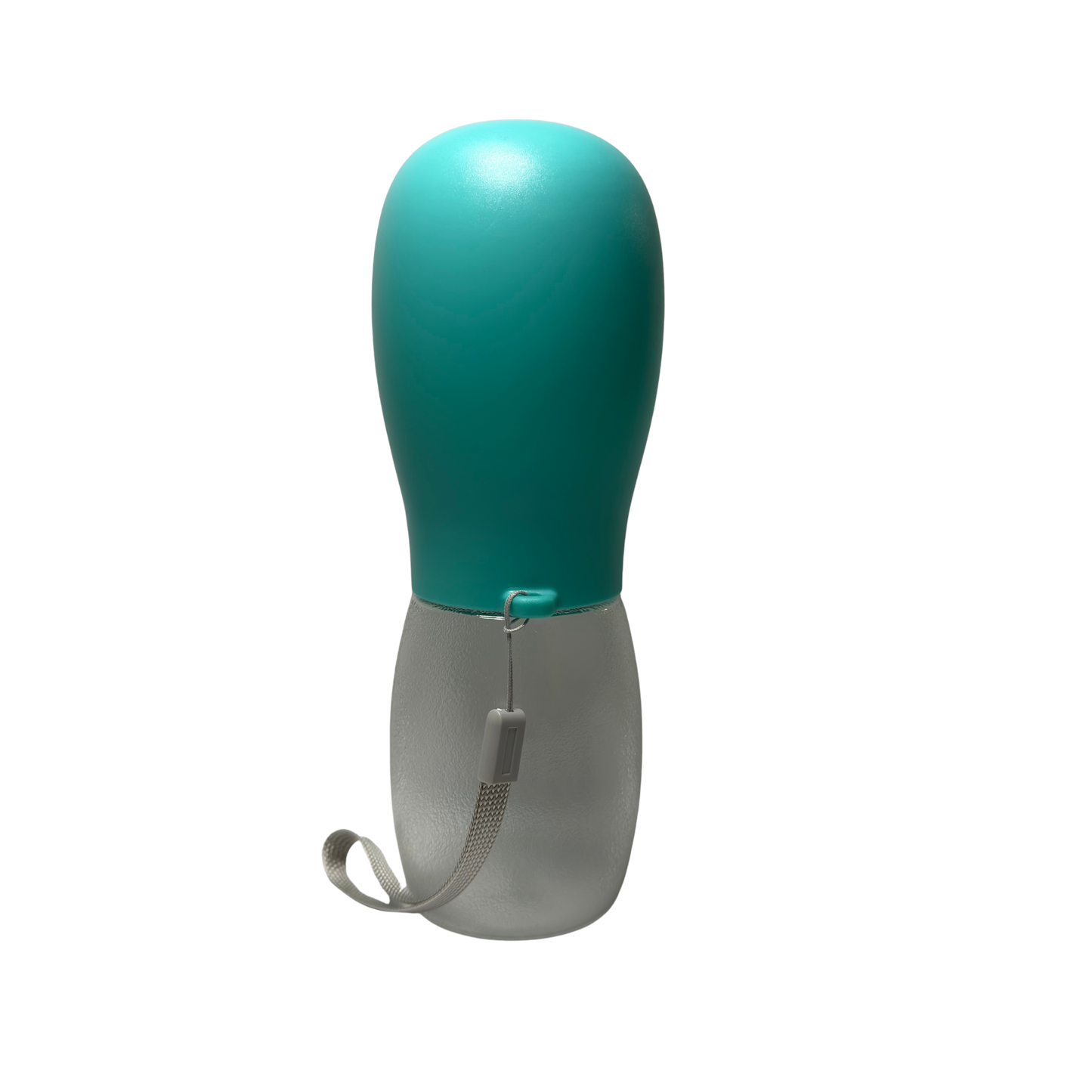 Accessoire gourde chien hydratation en déplacement
