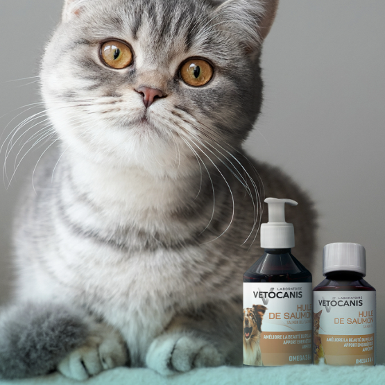 Complément alimentaire huile de saumon chien chat flacon 100ml
