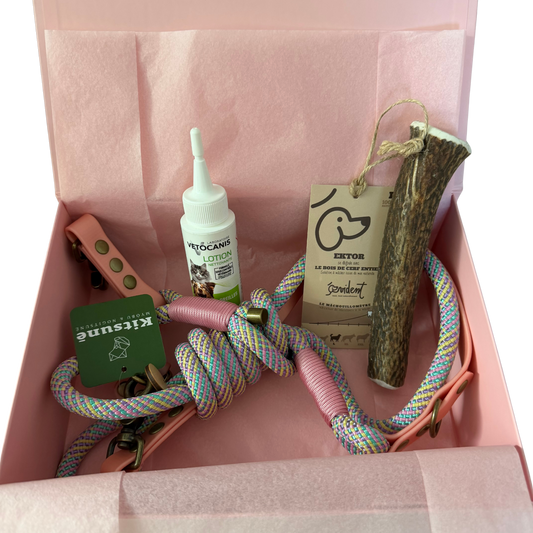 Box Happy Dog - Chiens