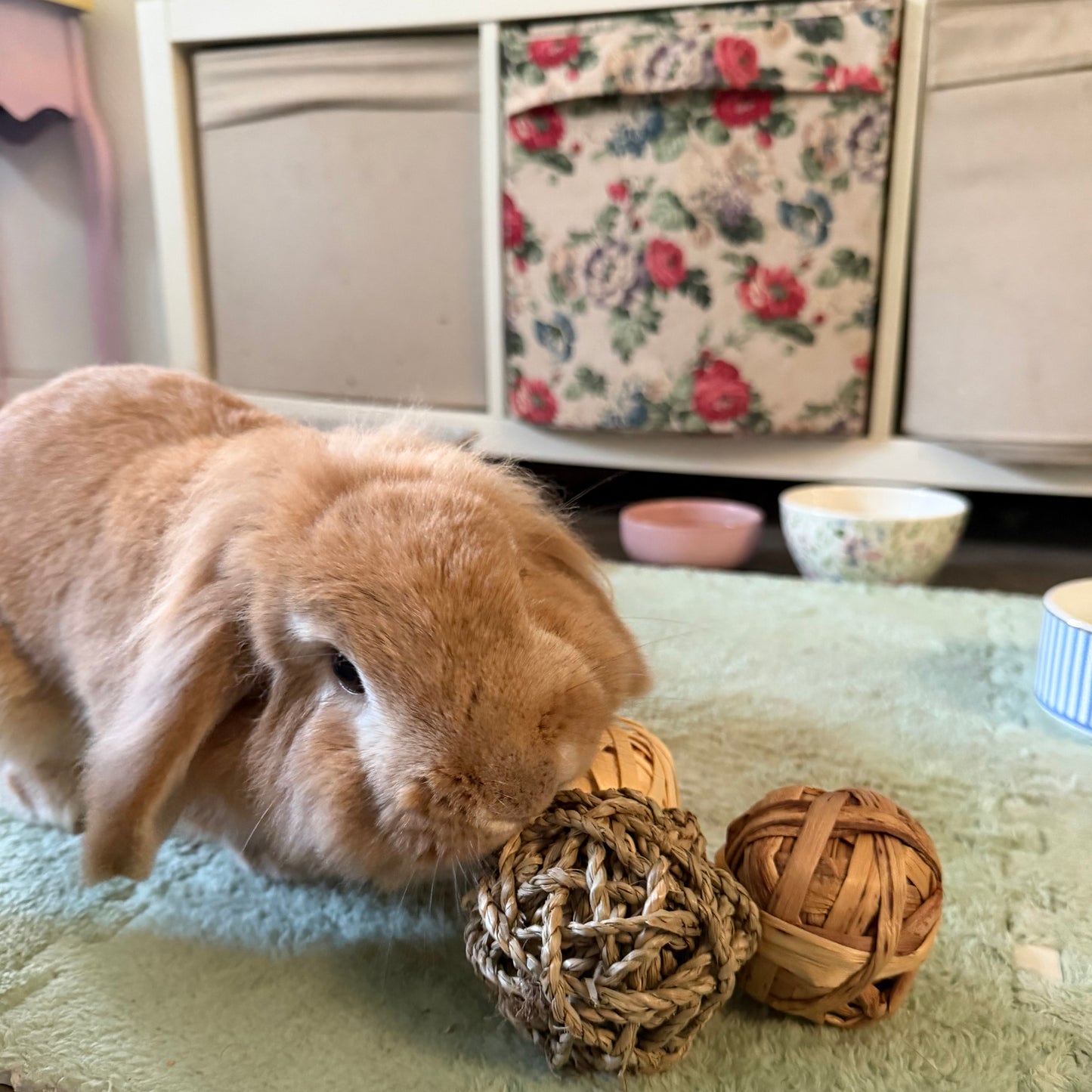 Jouet naturel et comestible pour lapins