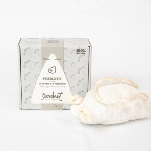 Souris à la valériane, herbe apaisante pour chat