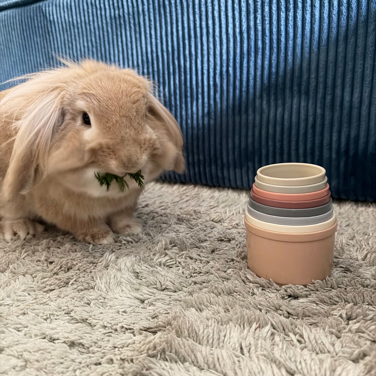 Lot 8 tasses empilables lapin jouet ludique et coloré