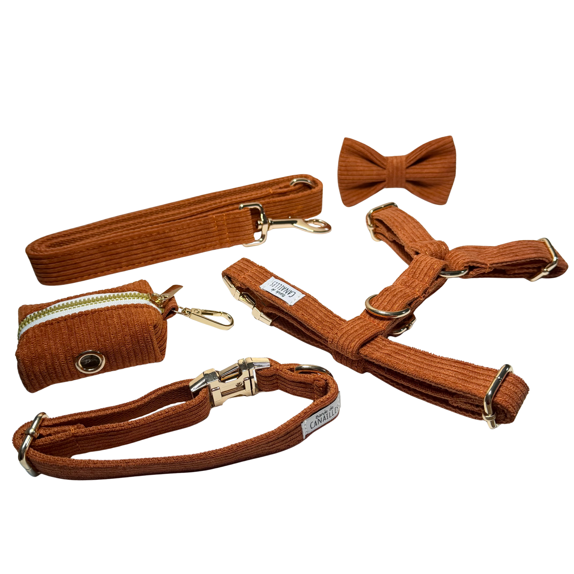Kit complet chiens en velours côtelé couleur terre battue