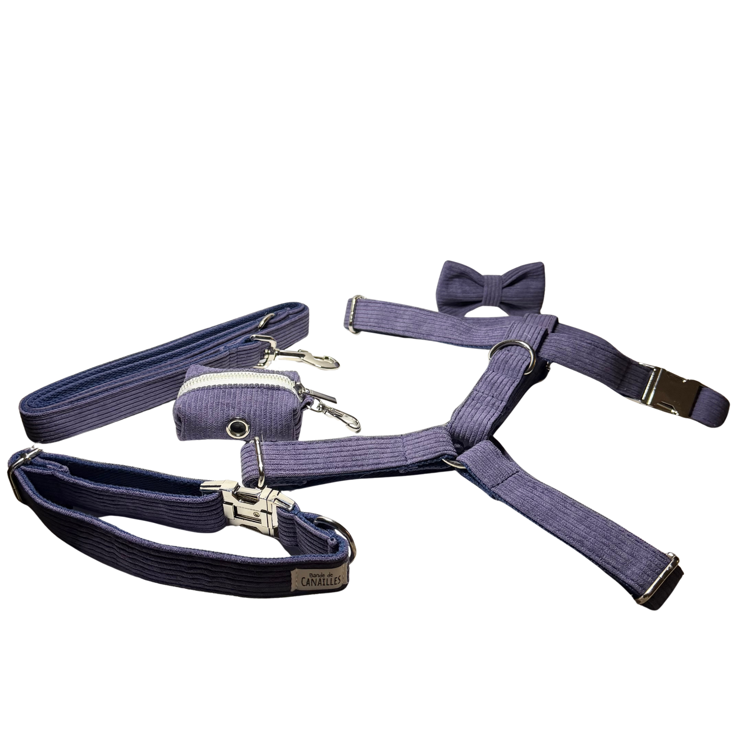 Kit complet pour chiens en velours côtelé, couleur Lavande