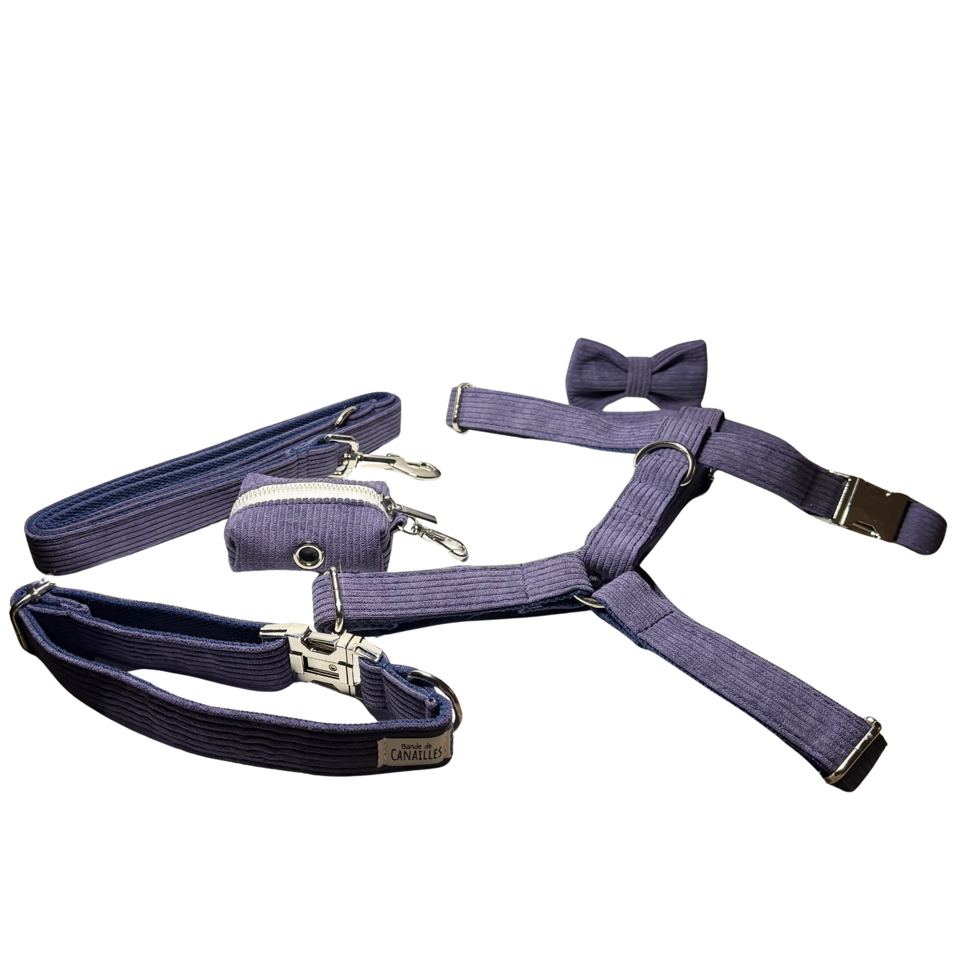 Kit complet pour chiens en velours côtelé, couleur Lavande