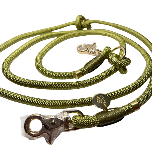 Laisse multi positions pour chien couleur olive 